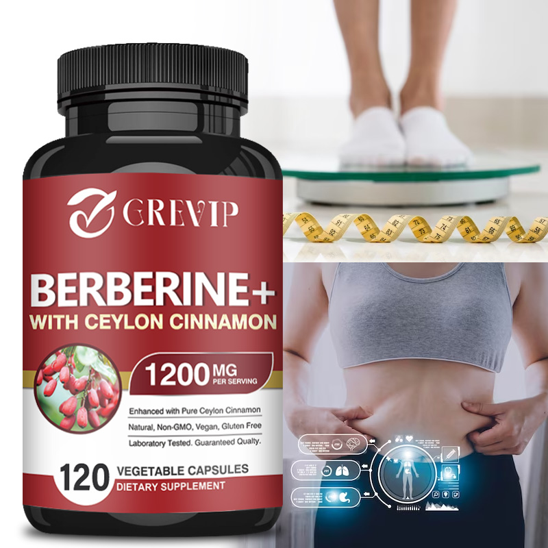 Berberine Hcl Capsule - Berberine HCl 1200มก.-รองรับสุขภาพทางสติปัญญาและระบบทางเดินอาหารและช่วยเพิ่มภูมิคุ้มกัน
