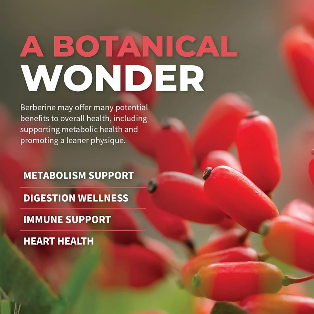 เบอร์เบอรีน เอชซีแอล ผสมอบเชยซ - Berberine Hcl Capsule บทวิจารณ์และราคา